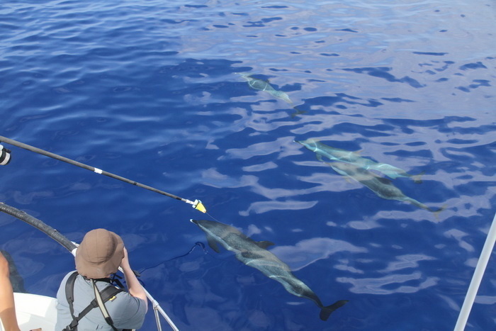 2011-05-11 D17 RWB 0030 resize